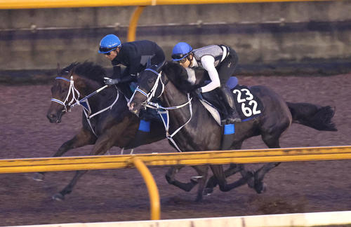 和田竜騎手を背にCウッドをルージュクライト(右)と併せ馬で追い切るマジカルフェアリー(撮影・白石智彦)