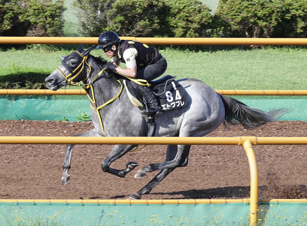 函館ウッドチップコースで、併せ馬で追い切られるエトヴプレ