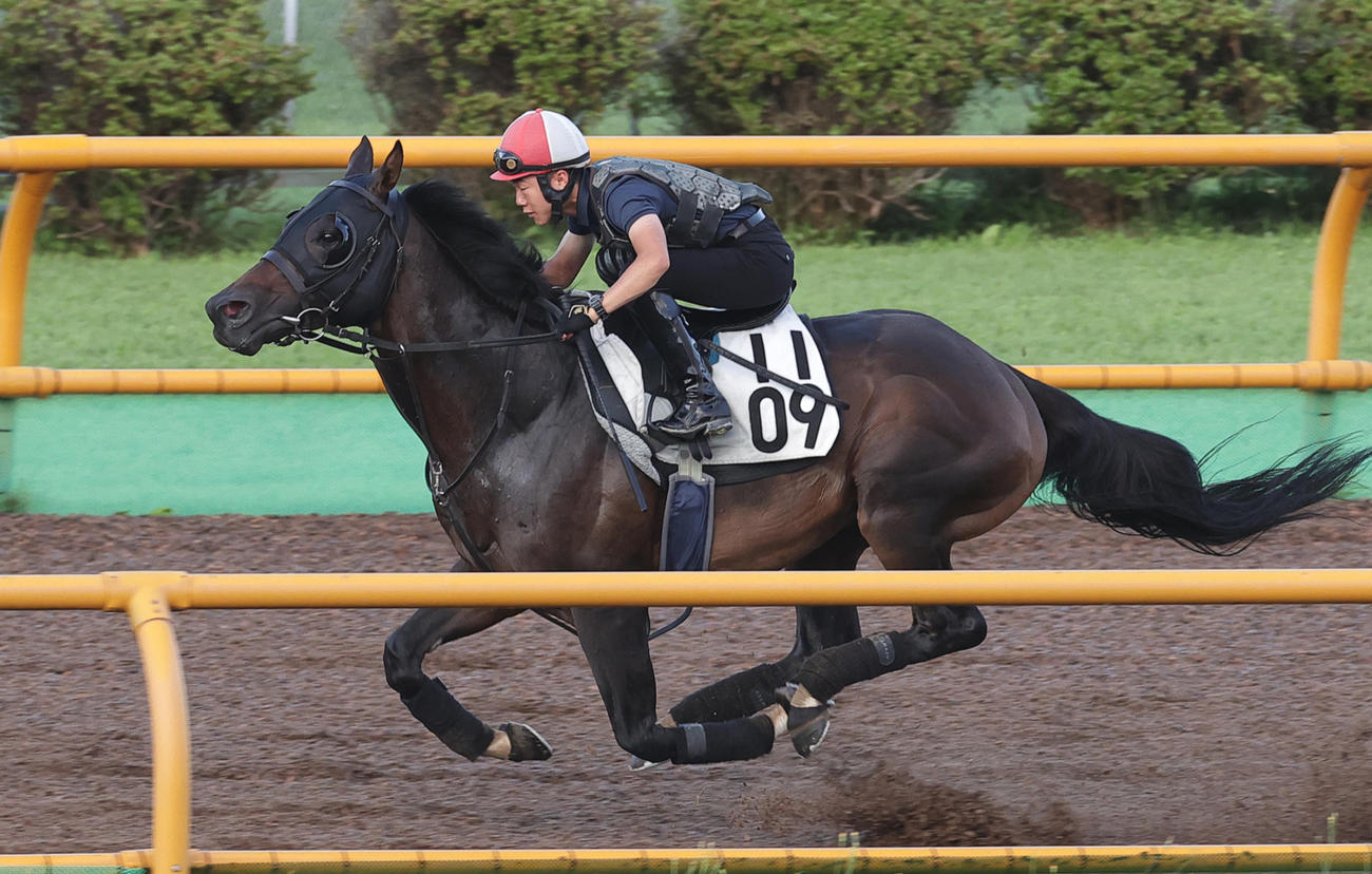 函館ウッドチップコースで追い切られるセッション