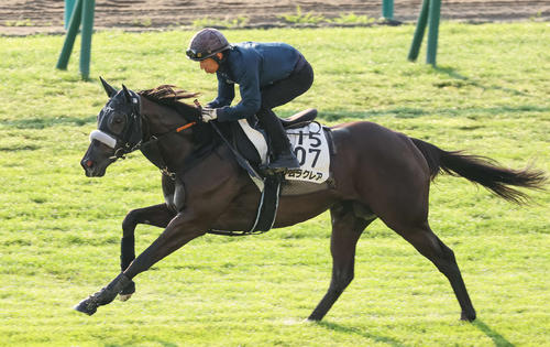 長谷川師を背に札幌芝コースで追い切られるナムラクレア（撮影・村野早祐）
