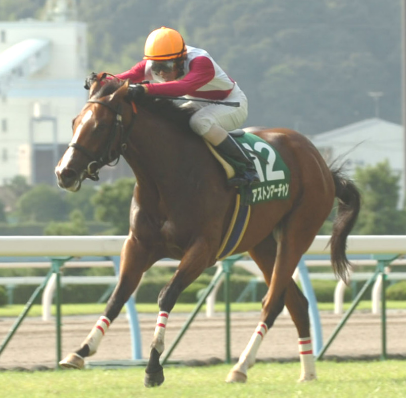2006年・小倉2歳Sを制したアストンマーチャン