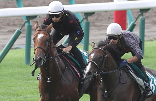 横山和生騎手を背に、札幌芝コースで併せ馬で追い切られるマテンロウサン（左）