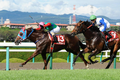 13年セントウルSを制したハクサンムーン(左)。右は2着ロードカナロア