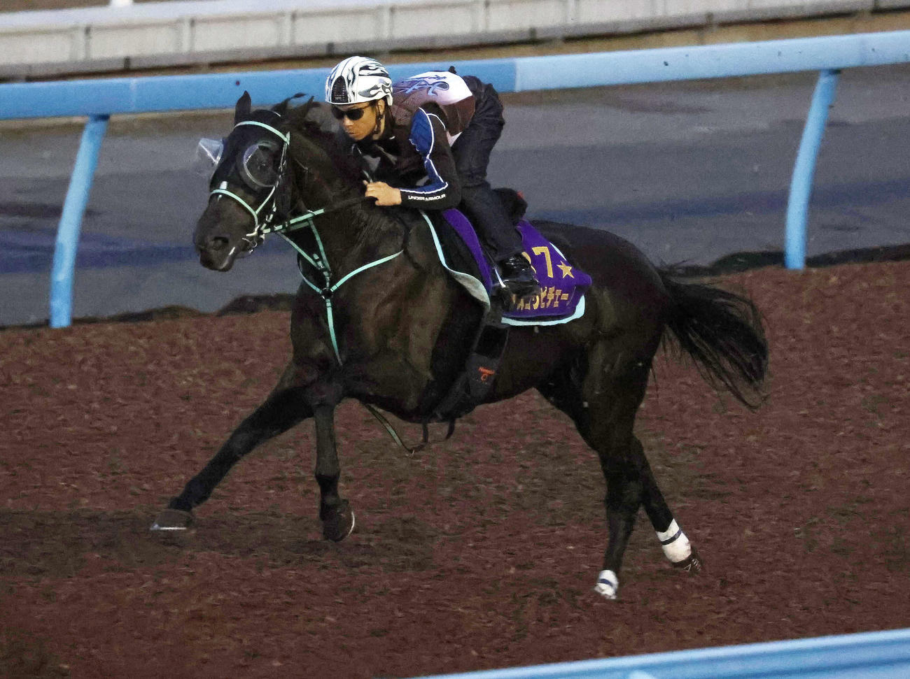アスコリピチェーノは北村宏騎手を背に美浦ウッドで追い切られた
