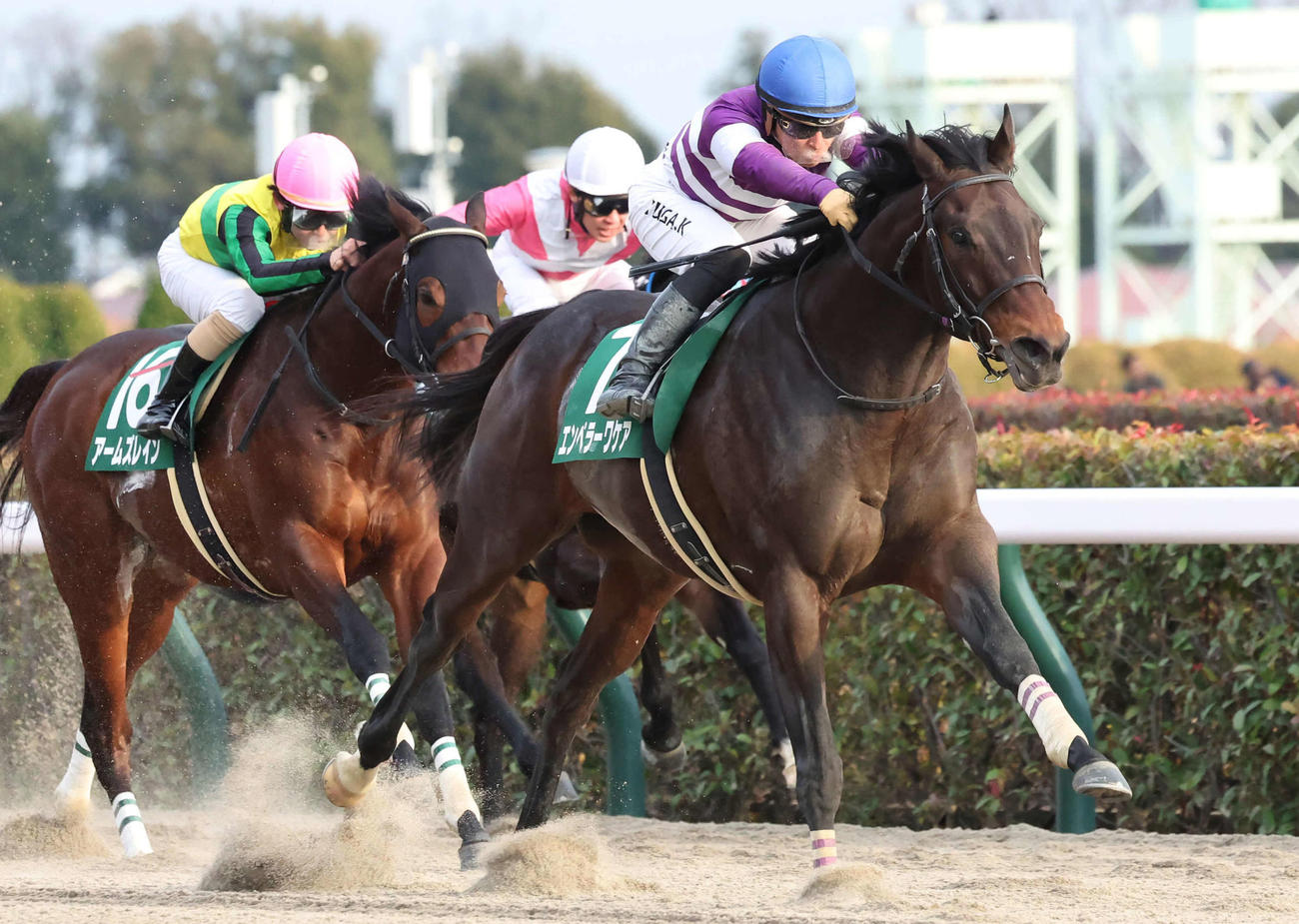1月28日、根岸Sを制したエンペラーワケアと川田騎手