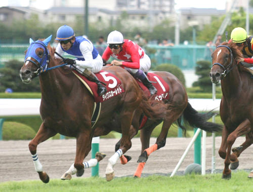 07年ローズSを制したダイワスカーレット