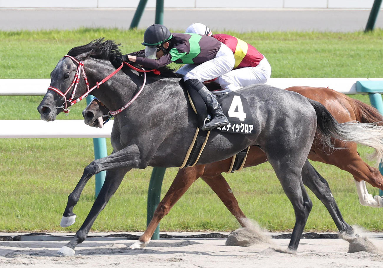 5月25日、桃山Sを制したミスティックロア