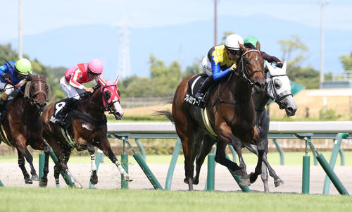 8月17日、御在所特別を制したフレミングフープ