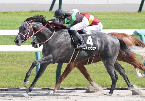 5月25日、桃山Sを制したミスティックロア