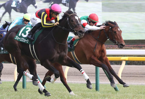 2月10日クイーンC2着に敗れたアルセナール（右）。左は勝ったクイーンズウォーク