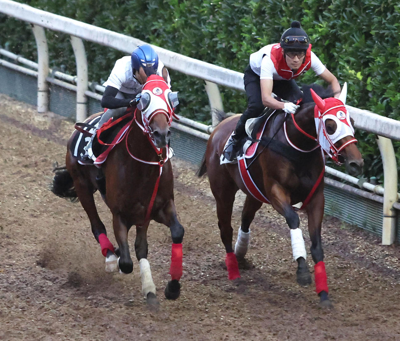 北村友騎手を背に坂路をチェイスザドリーム（右）と併せ馬で追い切るミスタージーティー（撮影・白石智彦）