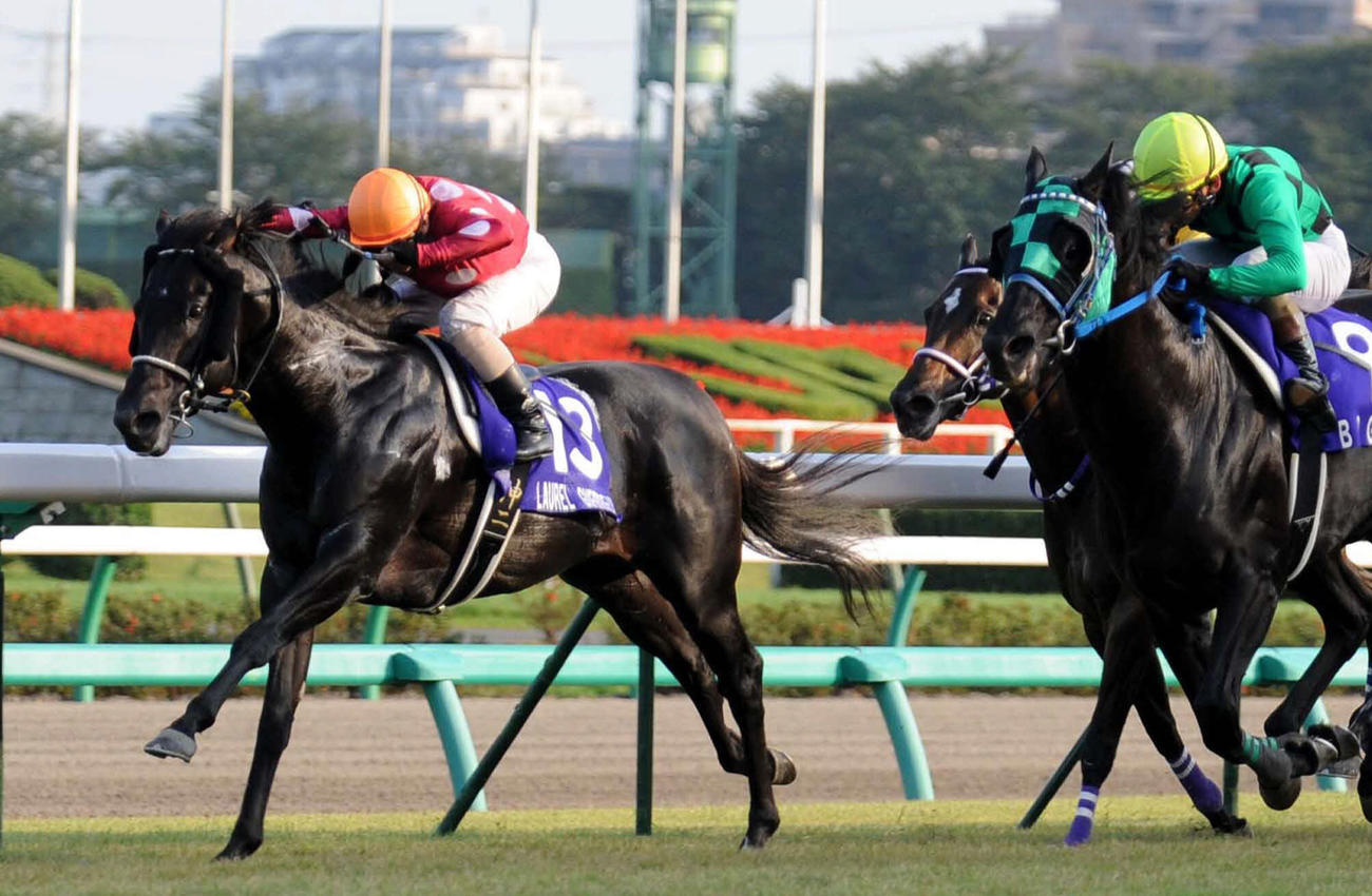 09年スプリンターズSを制したローレルゲレイロ（左）