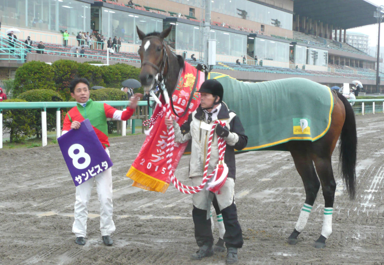 マリーンCを圧勝したサンビスタ（2015年4月14日撮影）