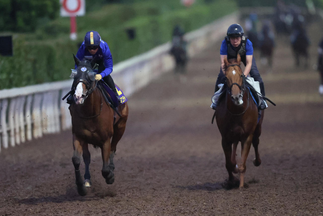 川田騎手が騎乗し、坂路で併せ馬に先着するママコチャ（左）　