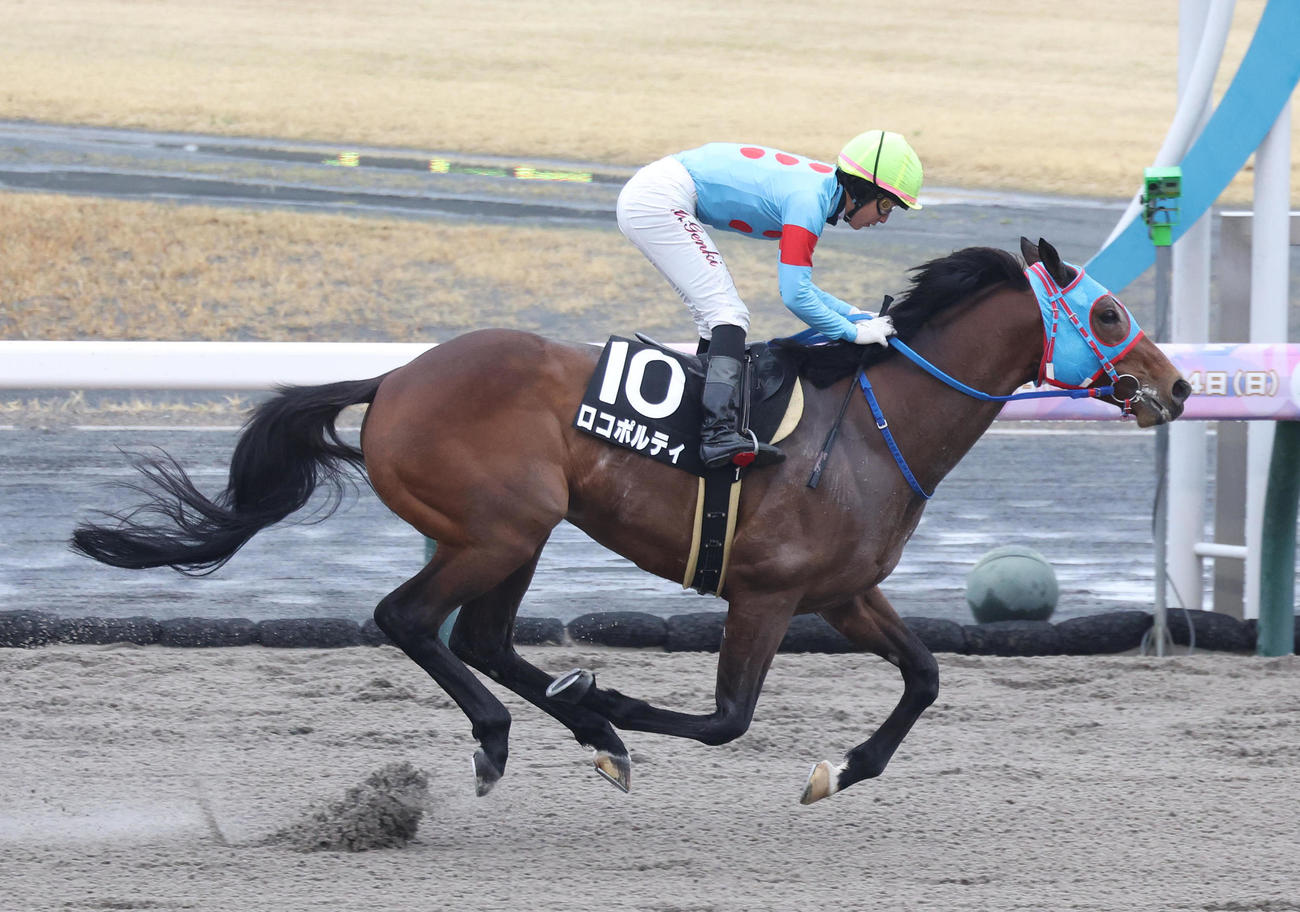 3月23日、伊勢Sを制したロコポルティ