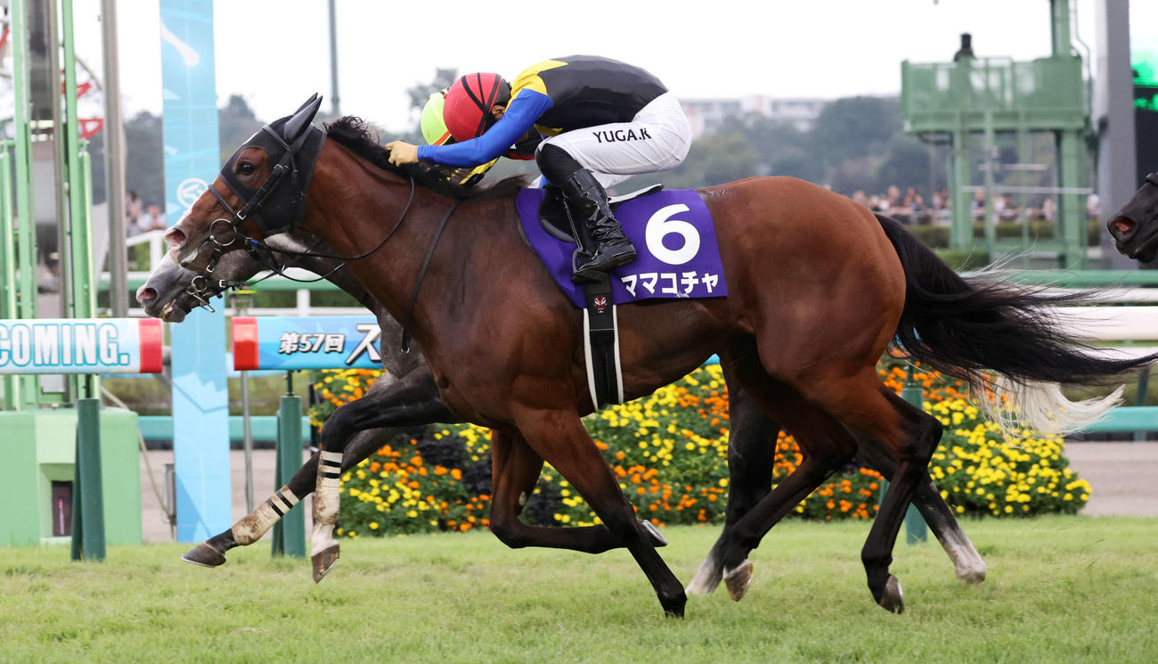 23年スプリンターズSを制したママコチャと川田将雅騎手