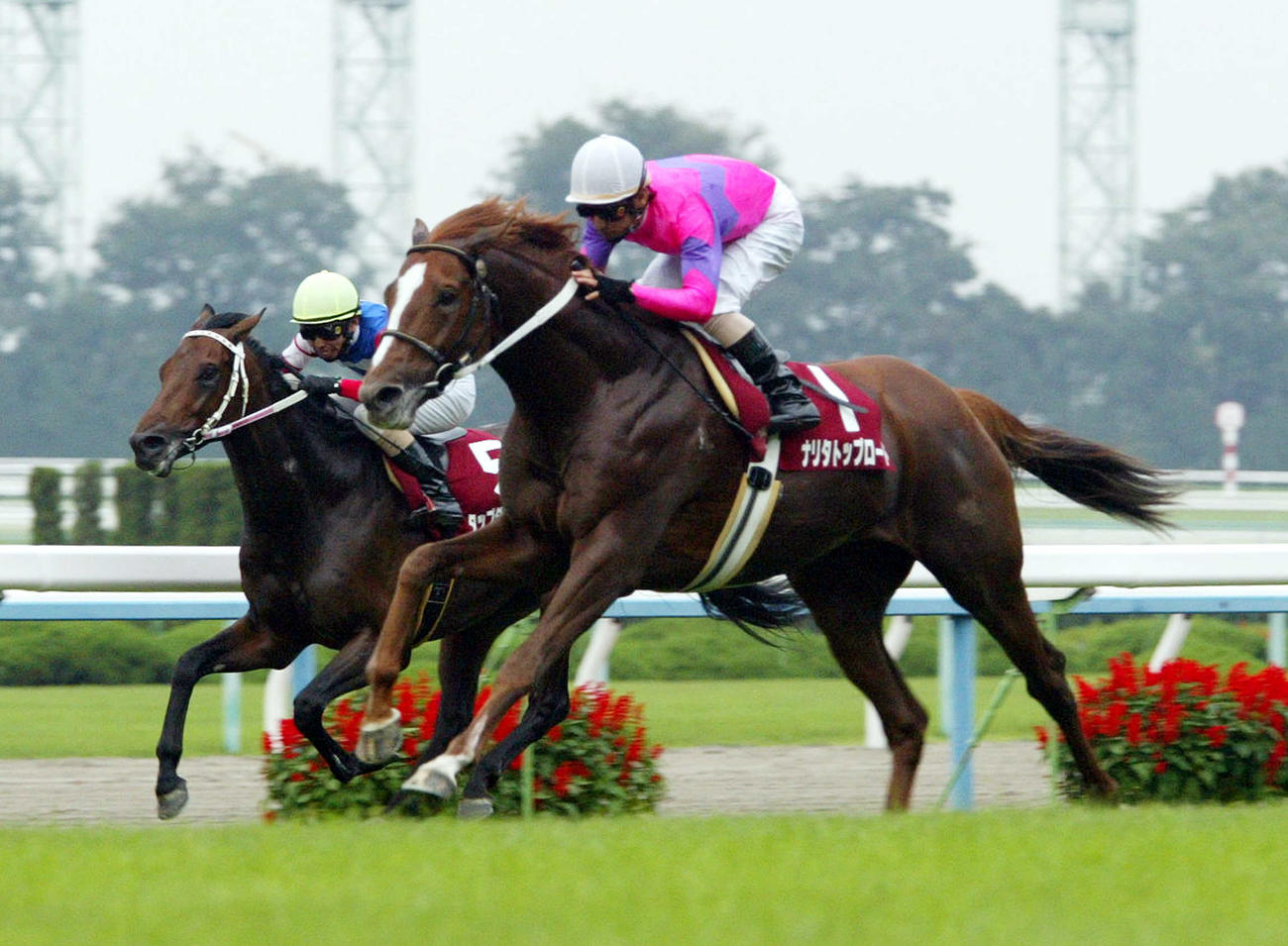 02年10月、直線抜け出て他馬を抑えてそのままゴール、京都大賞典を制したナリタトップロードと四位洋文騎手