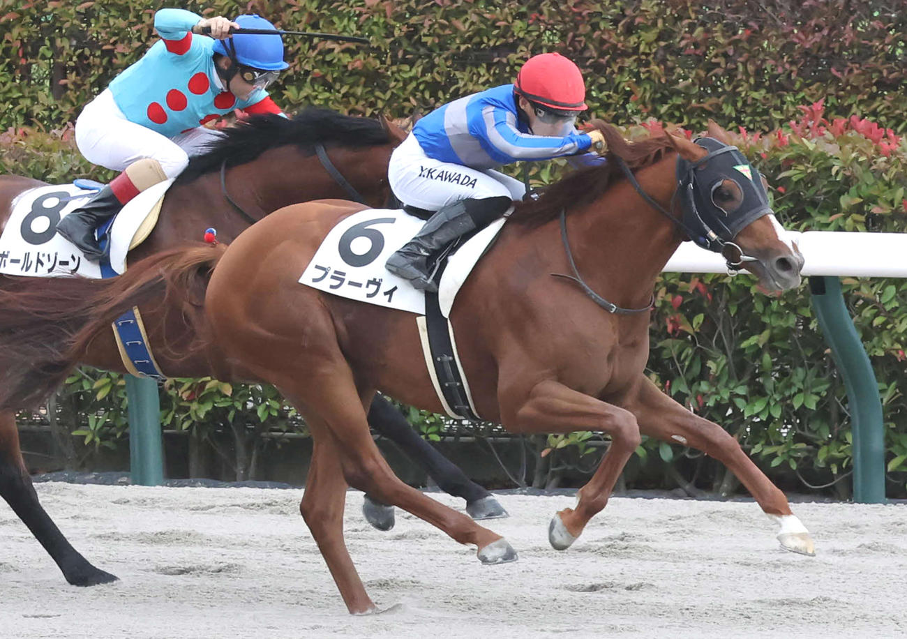 5月25日東京12Rの4歳上2勝クラスを制したプラーヴィ