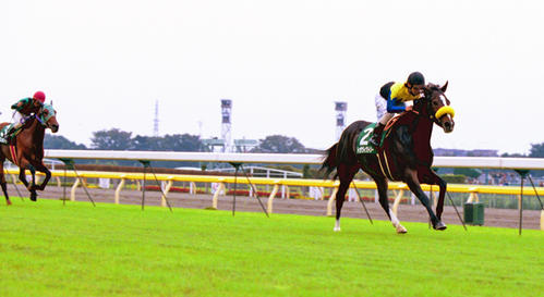 00年府中牝馬Sを制したトゥザヴィクトリー