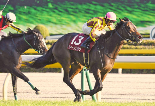 16年府中牝馬Sを制したクイーンズリング