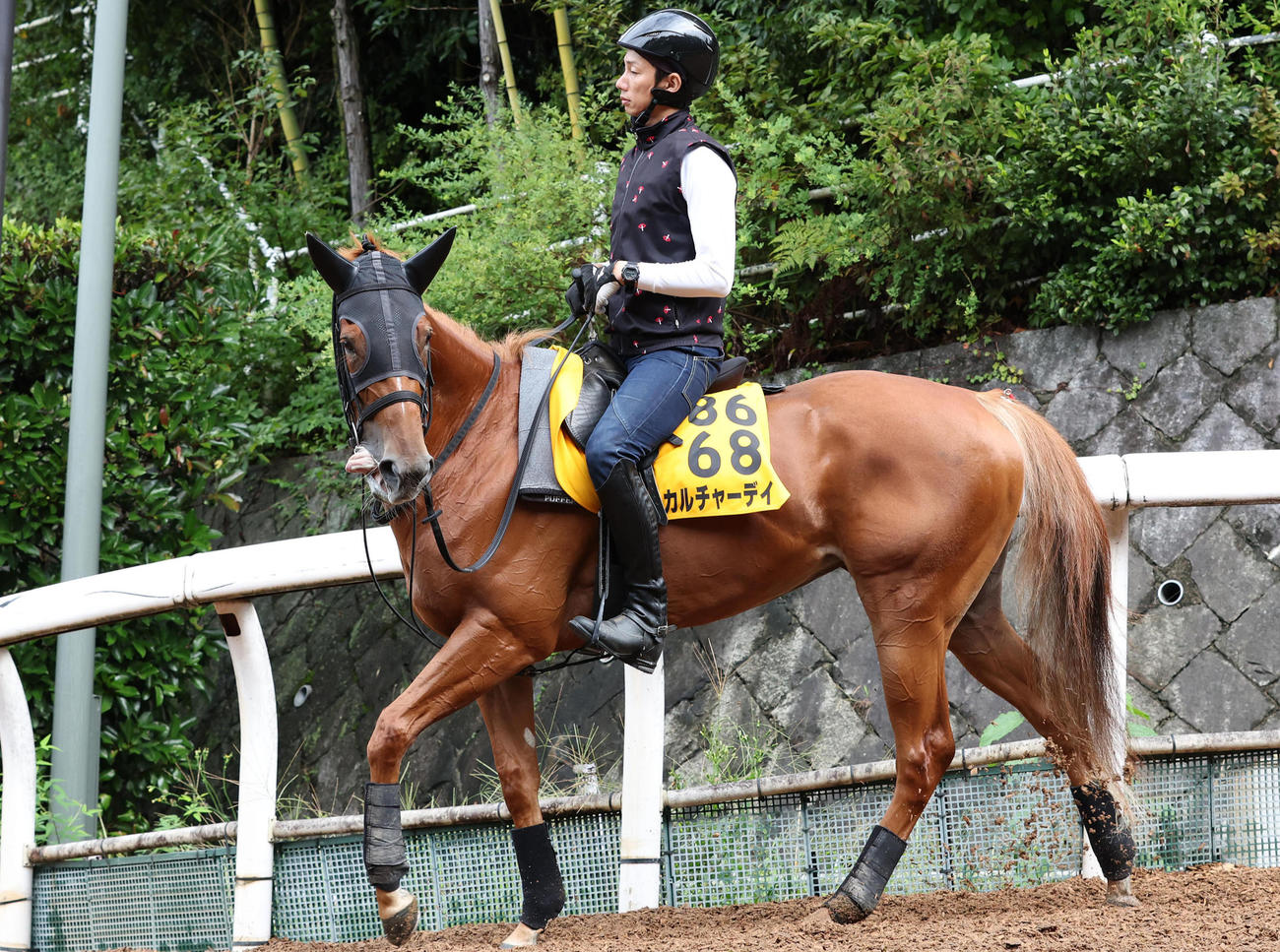 8日、逍遥馬道で運動するカルチャーデイ