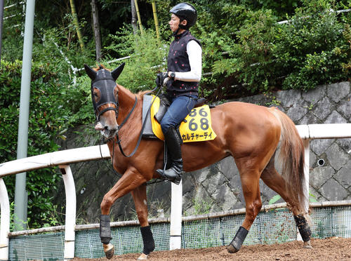 8日、逍遥馬道で運動するカルチャーデイ