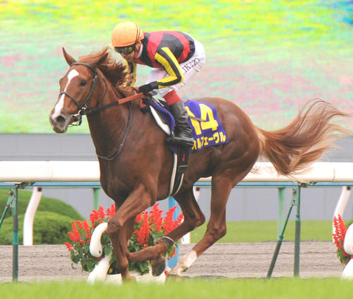毎日ベスト3】リベンジなるか 菊花賞で父の雪辱を果たした馬ベスト3