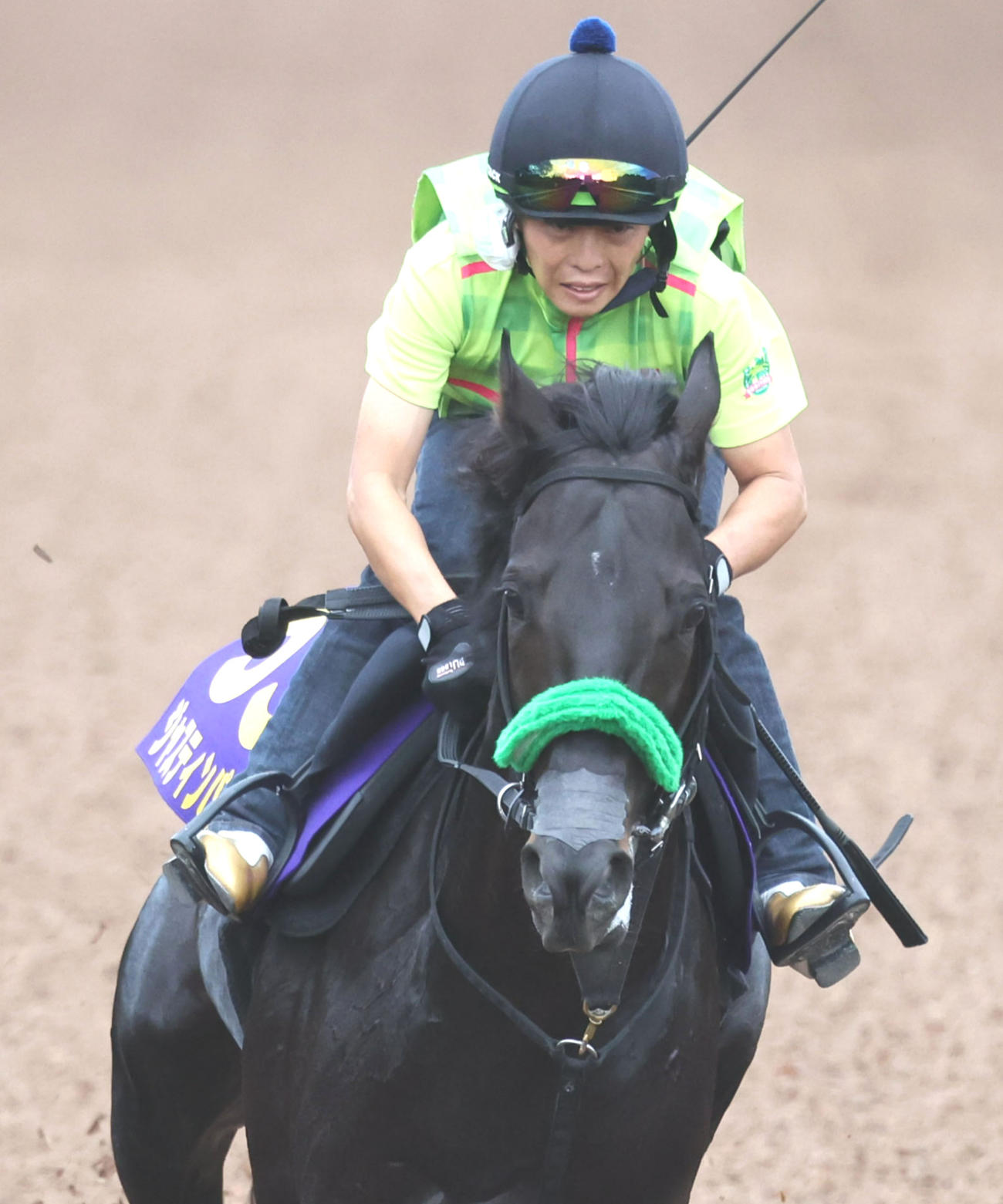 坂路を単走で追い切るジャスティンパレス（撮影・白石智彦）