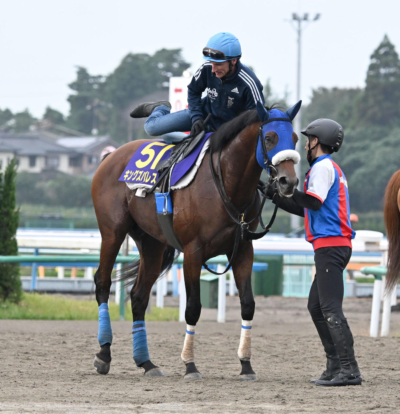 調教を終え、キングズパレスから下りるシュタルケ騎手（撮影・千葉一成）