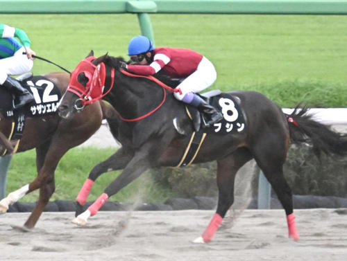9月29日外房S2着のブシン