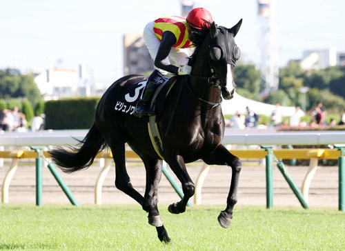 ビジュノワール(2023年撮影)