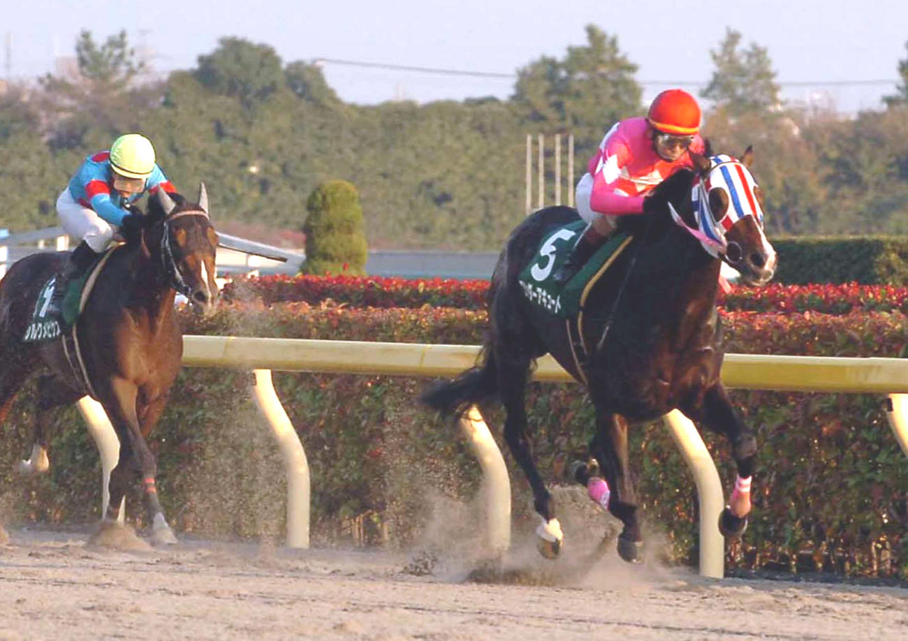 09年武蔵野Sを制したワンダーアキュート