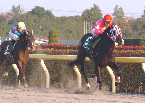 09年武蔵野Sを制したワンダーアキュート