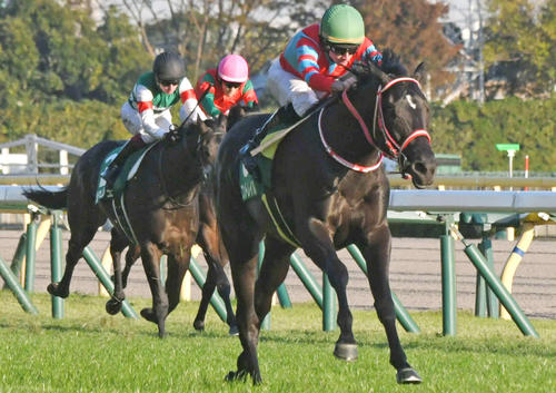 19年東京スポーツ杯2歳Sを制したコントレイル