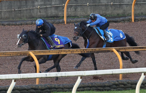 Cウッドをウェルカムニュース(右)と併せ馬で追い切るソウルラッシュ(撮影・白石智彦)