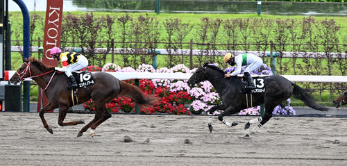 5月19日、愛宕特別2着のジーニアスバローズ(右)。左は勝ったコンティノアール