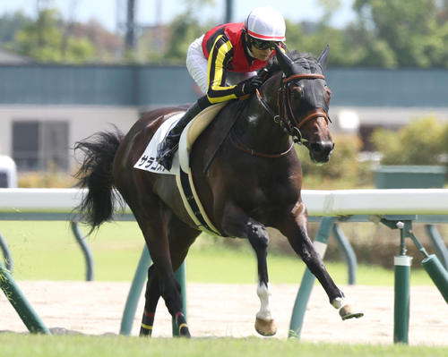 8月18日、2歳未勝利戦を快勝したサラコスティ