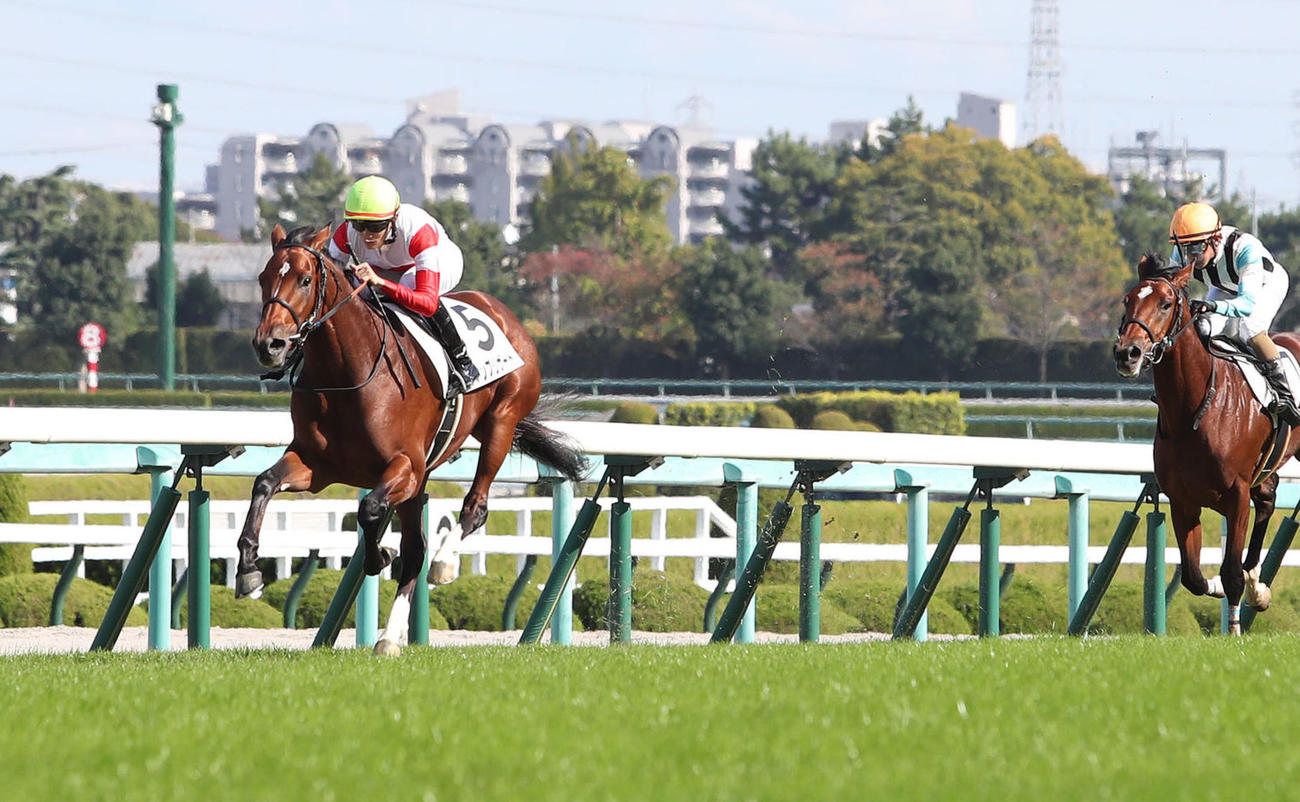 21年11月7日、阪神5R新馬戦を快勝したダノンブリザード