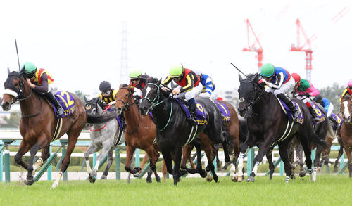 桜花賞3着に敗れたラインバック(右)。左は勝ったステレンボッシュ