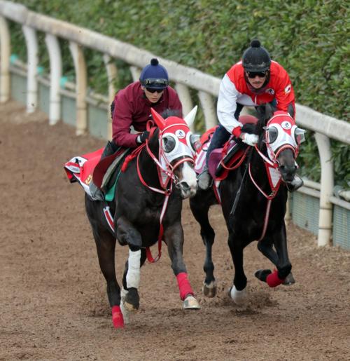 坂井瑠星騎手を背に坂路コース2頭併せで追い切るミストレス(左)