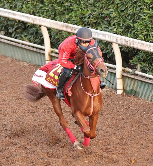 坂路コースを単走で追い切るリリーフィールド