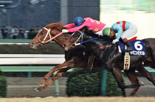 91年朝日杯3歳Sを制したミホノブルボン（左）