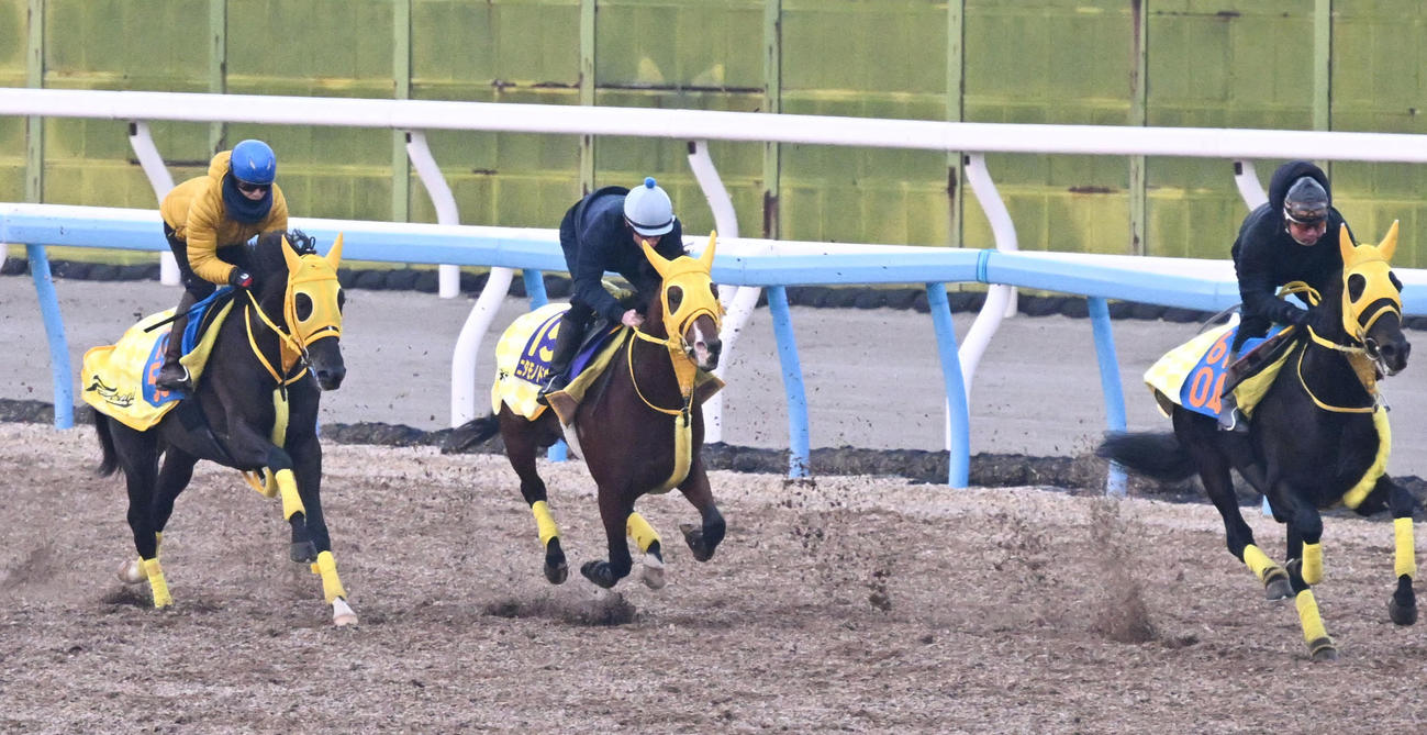 美浦ウッドを3頭併せて追い切るニタモノドウシ（中央）（撮影・千葉一成）