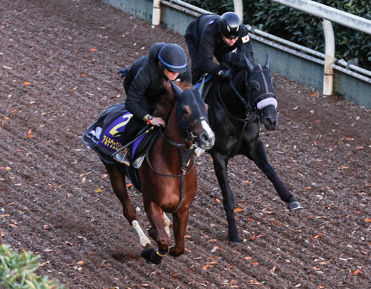 坂路を併せ馬で追い切るアルテヴェローチェ（左）