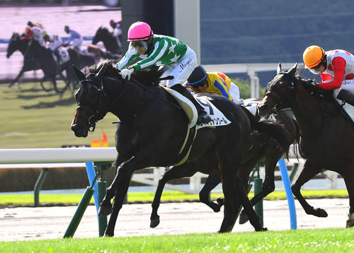 7月7日、小倉12R・3歳以上1勝クラスを制したタイキヴァンクール
