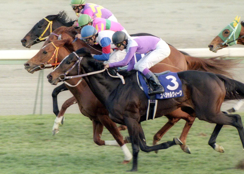99年有馬記念でスペシャルウィークとの激闘を4cm差で制したグラスワンダー（手前から2頭目）
