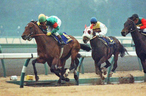 85年有馬記念を制し連覇を達成したシンボリルドルフ(左)と岡部幸雄騎手