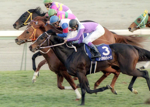 99年有馬記念でスペシャルウィークとの激闘を4cm差で制したグラスワンダー(手前から2頭目)