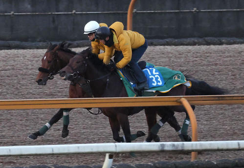 18日、Cウッドをセオ（右）と併せ馬で追い切るベラジオオペラ