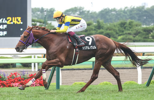 7月7日、横津岳特別を制したシリアルノヴェル